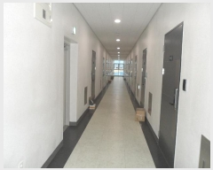  2024Ÿ68885  ϳ ̻簭߾ӷ7ȱ 25, 7-709ȣ (ǳ굿,-ũ븮Ÿ)     ܵ(ȣ)