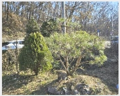  2024Ÿ��72143  ����