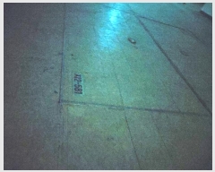  2024Ÿ��4379  �ٸ��󰡰��