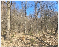  2024Ÿ��7057 ��� ���ֽ� ���ѻ꼺�� ���̸� ��81-1      ����(�Ӿ�)���