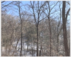  2024Ÿ��7057 ��� ���ֽ� ���ѻ꼺�� ���̸� ��81-1      ����(�Ӿ�)���