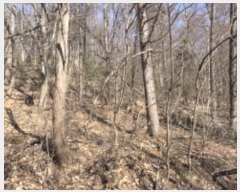  2024Ÿ��7057 ��� ���ֽ� ���ѻ꼺�� ���̸� ��81-1      ����(�Ӿ�)���