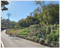  2024Ÿ68205  ϳ ̵ 45-1       (Ӿ)