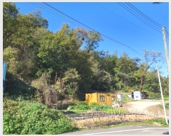  2024Ÿ68205  ϳ ̵ 45-1       (Ӿ)