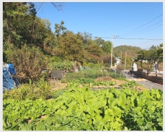  2024Ÿ68205  ϳ ̵ 45-1       (Ӿ)