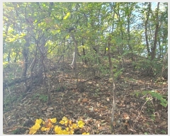  2024Ÿ68205  ϳ ̵ 45-1       (Ӿ)