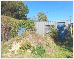  2024Ÿ68205  ϳ ̵ 45-1       (Ӿ)