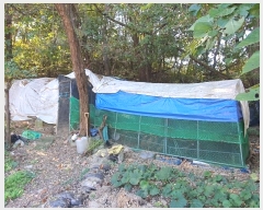  2024Ÿ68205  ϳ ̵ 45-1       (Ӿ)