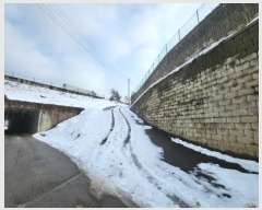  2024Ÿ69703  ֽ   560-11      ,â