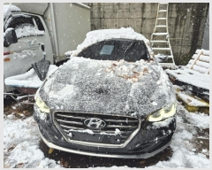  2024Ÿ69895  ֽ  790       