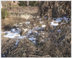  2024Ÿ70598    ɰ 392-4      ()