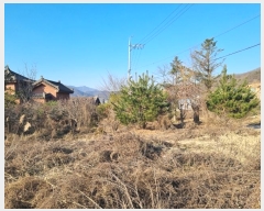  2024Ÿ��70918 ��� ���ֽ� ���̸� ������ 336-1      ����(����)���