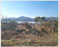  2024Ÿ��70918 ��� ���ֽ� ���̸� ������ 336-1      ����(����)���