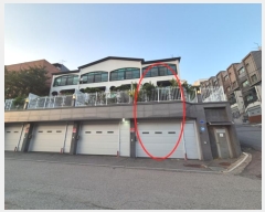  2024Ÿ6153  ֽ 317 6, 1101ȣ (,Ÿ)     ټ,