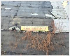  2024Ÿ��6511 ��� ���ֽ� ������ 135-43       ����(�Ӿ�)���