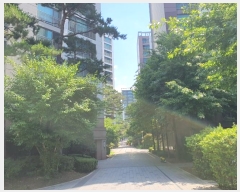  2024Ÿ��60669  ����Ʈ���