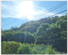  2024Ÿ63897  ֽ ѻ꼺 Ҵ縮 75-3      (Ӿ)