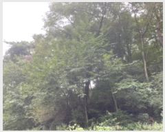  2024Ÿ63897  ֽ ѻ꼺 Ҵ縮 75-3      (Ӿ)