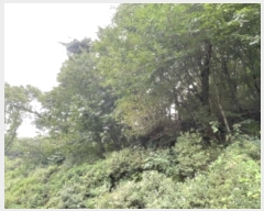  2024Ÿ63897  ֽ ѻ꼺 Ҵ縮 75-3      (Ӿ)