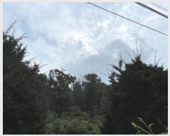  2024Ÿ63897  ֽ ѻ꼺 Ҵ縮 75-3      (Ӿ)