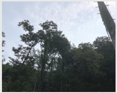  2024Ÿ63897  ֽ ѻ꼺 Ҵ縮 75-3      (Ӿ)