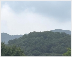  2024Ÿ63897  ֽ ѻ꼺 Ҵ縮 75-3      (Ӿ)