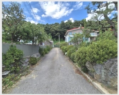  2024Ÿ��65114  ����