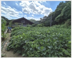  2024Ÿ��65114  ����