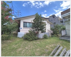  2024Ÿ��65114  ����