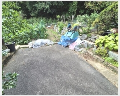  2024Ÿ��65114  ����