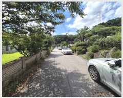  2024Ÿ��65114  ����