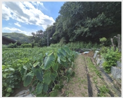  2024Ÿ��65114  ����