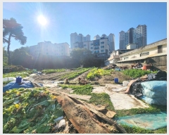  2024Ÿ��66810  ����