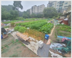  2024Ÿ��66810  ����