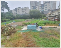  2024Ÿ��66810  ����