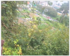  2024Ÿ��66810  ����