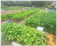  2024Ÿ��66810  ����