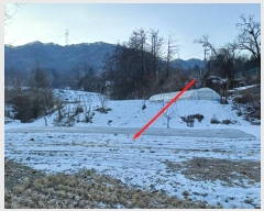  2024Ÿ��71591 ��� ���ֽ� �������� ������ 102-1      ����(��)���