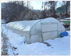  2024Ÿ��71591 ��� ���ֽ� �������� ������ 102-1      ����(��)���