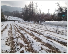  2024Ÿ��71591 ��� ���ֽ� �������� ������ 102-1      ����(��)���