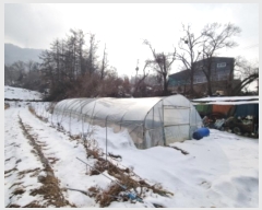  2024Ÿ��71591 ��� ���ֽ� �������� ������ 102-1      ����(��)���