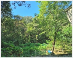  2024Ÿ��5105 ��� ���ֽ� ������ 161       ����(��1)���