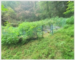  2024Ÿ��5105 ��� ���ֽ� ������ 161       ����(��1)���