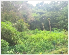  2024Ÿ��5105 ��� ���ֽ� ������ 161       ����(��1)���