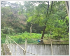  2024Ÿ��5105 ��� ���ֽ� ������ 161       ����(��1)���