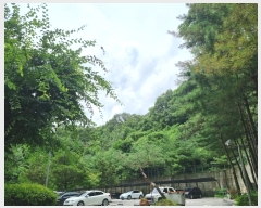  2024Ÿ62696  ֽ  63-110       (Ӿ)