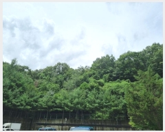  2024Ÿ62696  ֽ  63-110       (Ӿ)