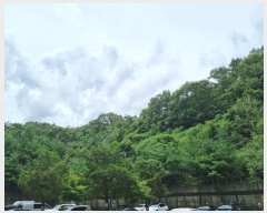  2024Ÿ62696  ֽ  63-110       (Ӿ)