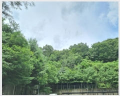  2024Ÿ62696  ֽ  63-110       (Ӿ)