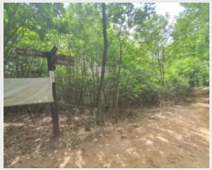  2024Ÿ62696  ֽ  63-110       (Ӿ)